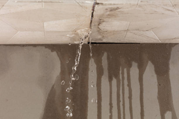 Professional Burst Pipe Cleanup technician working in Sloan, IA